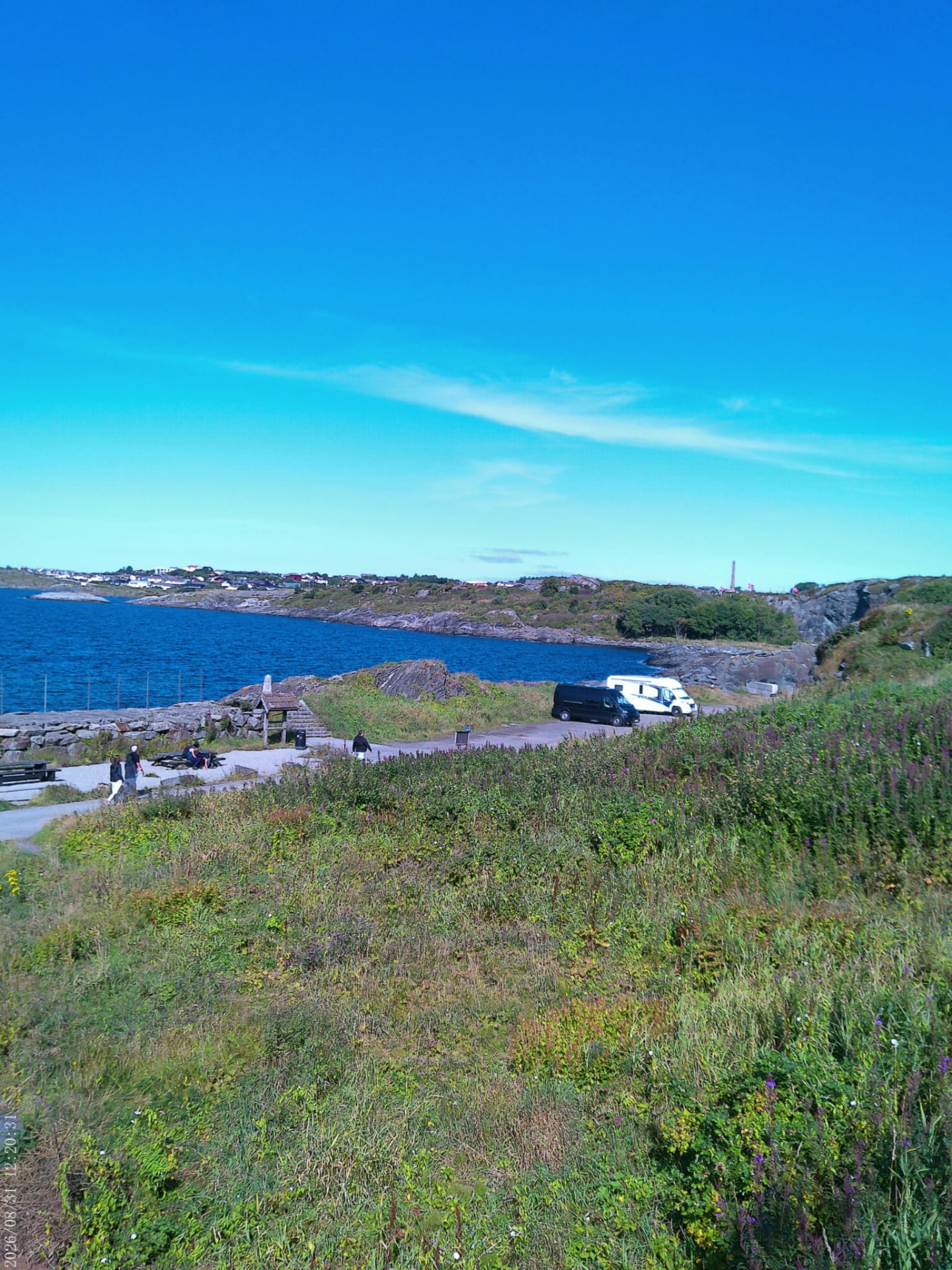 A campervan parked beside a wildflower-lined coastal path above deep blue Norwegian water