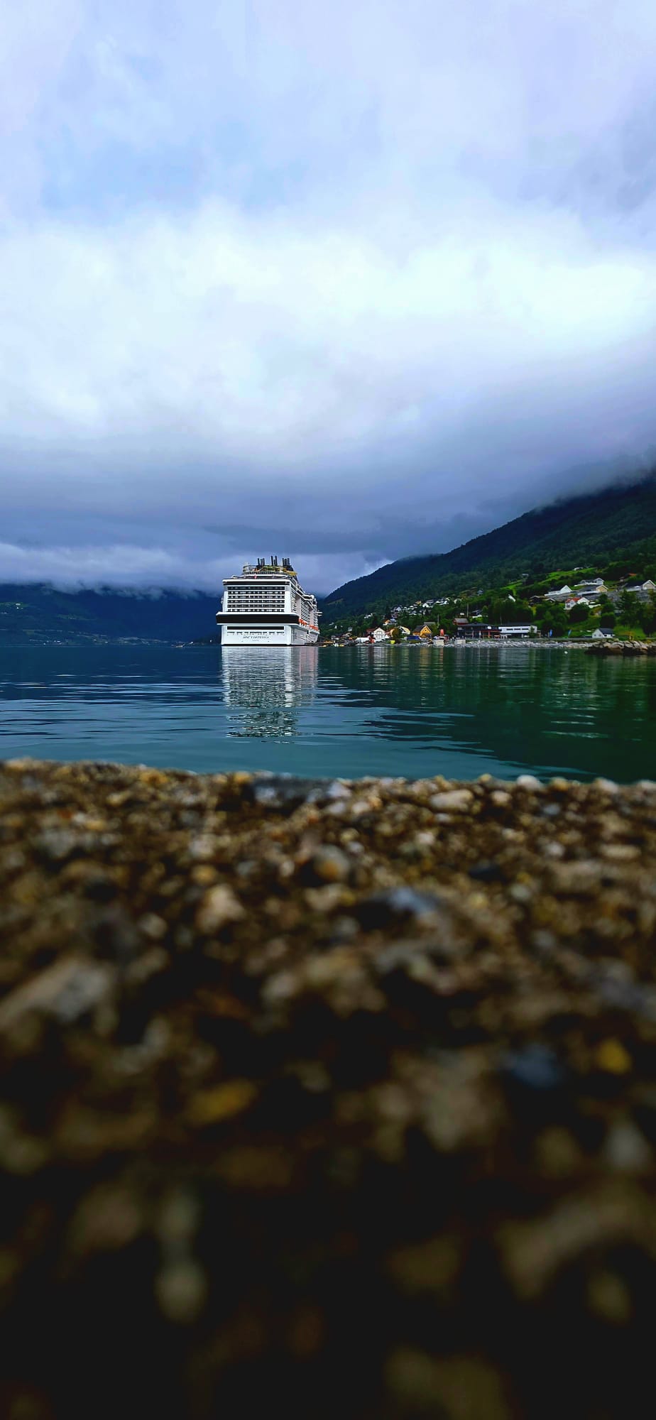 A cruise ship moored in a calm Norwegian fjord beside a small waterside village